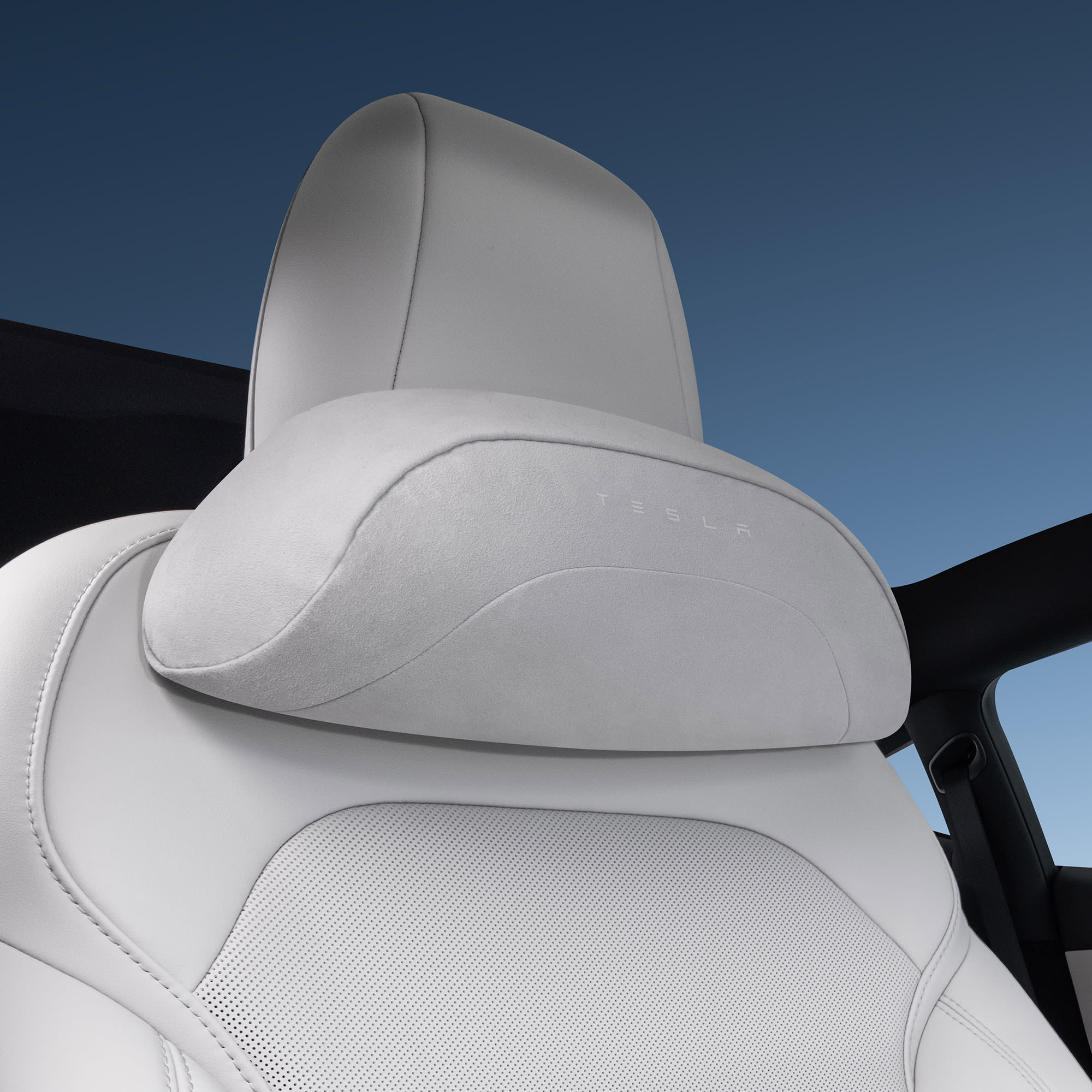 asset image