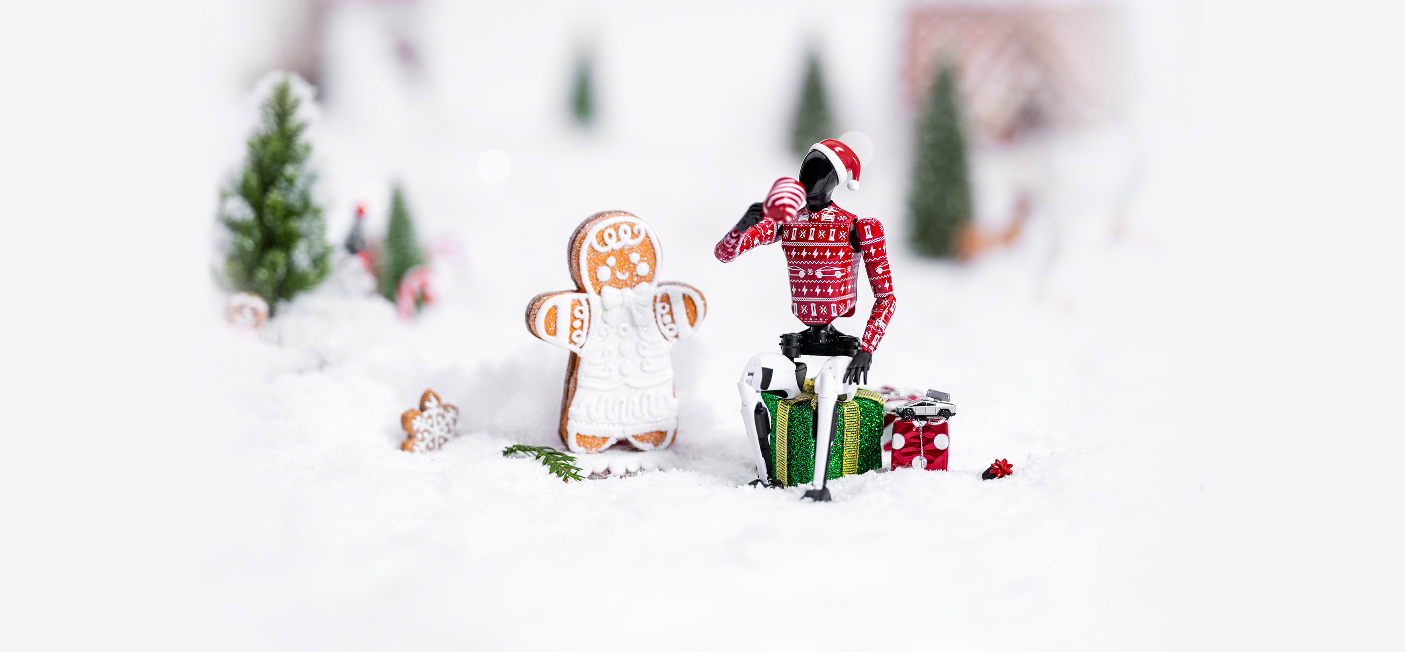 product image in the hero carousel