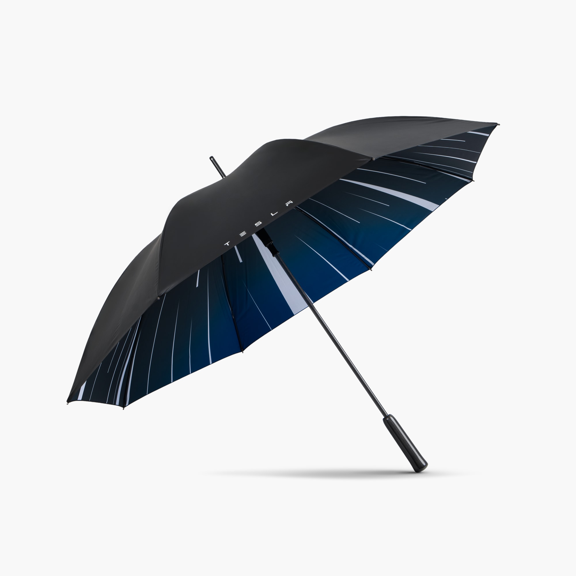 asset image