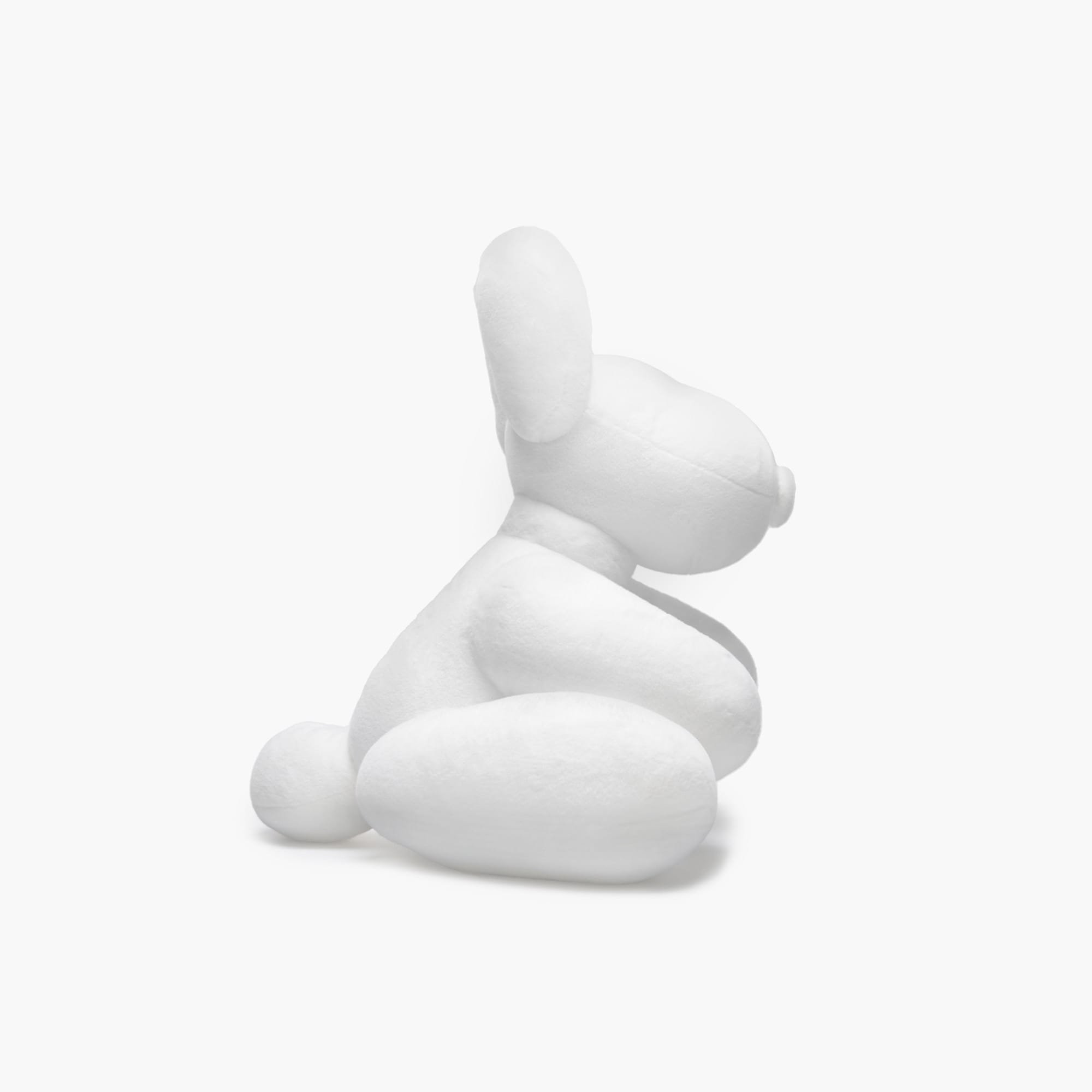 asset image