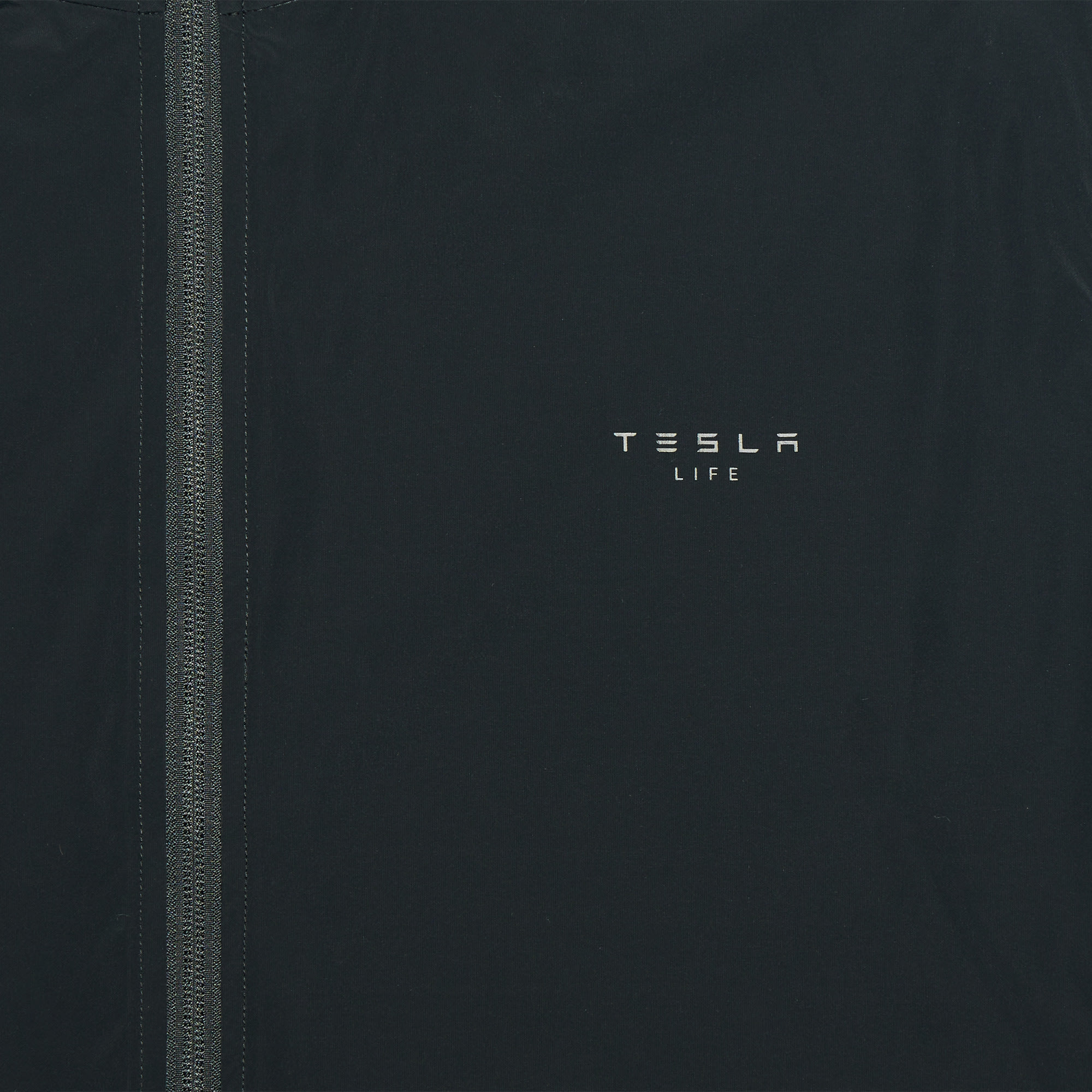 asset image