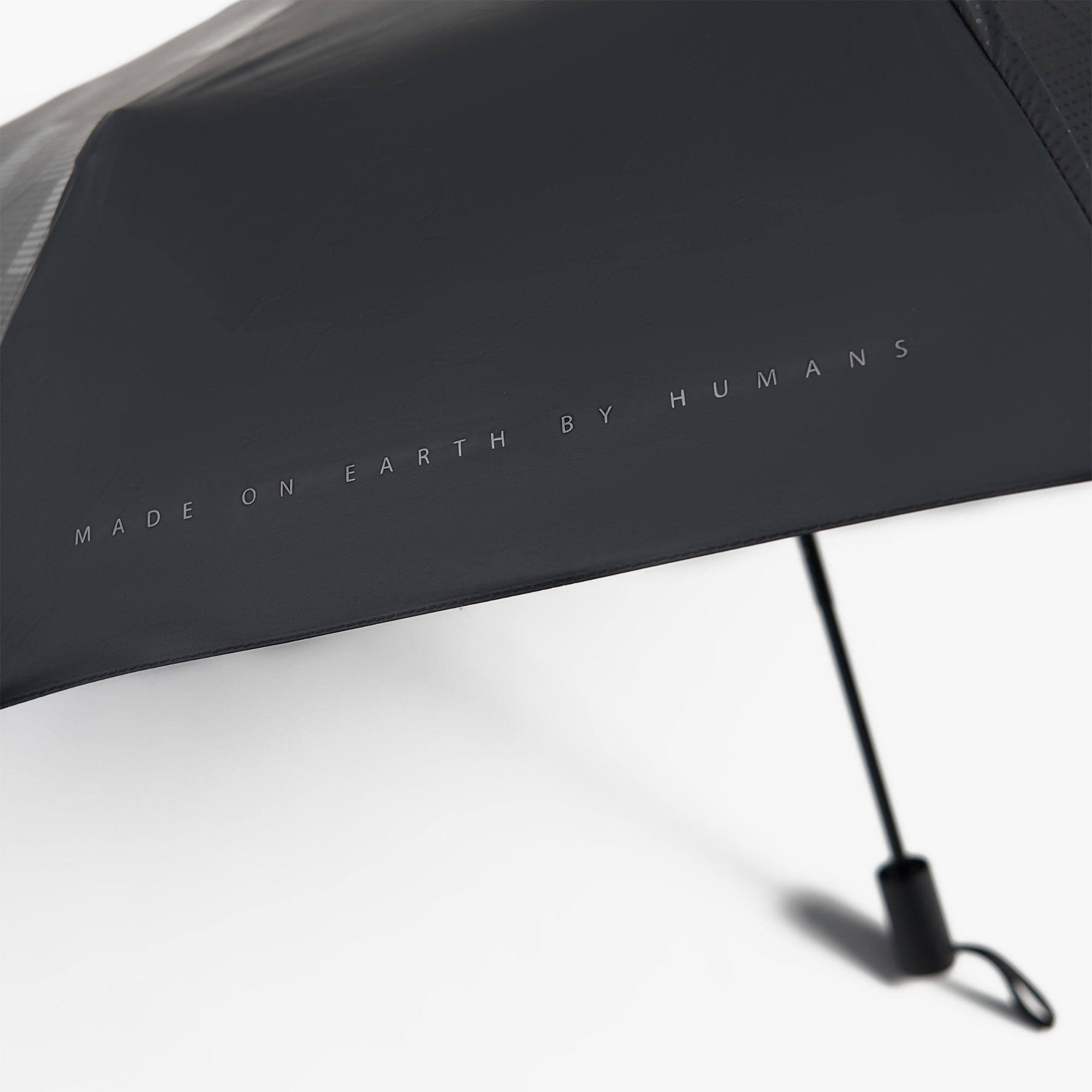 asset image