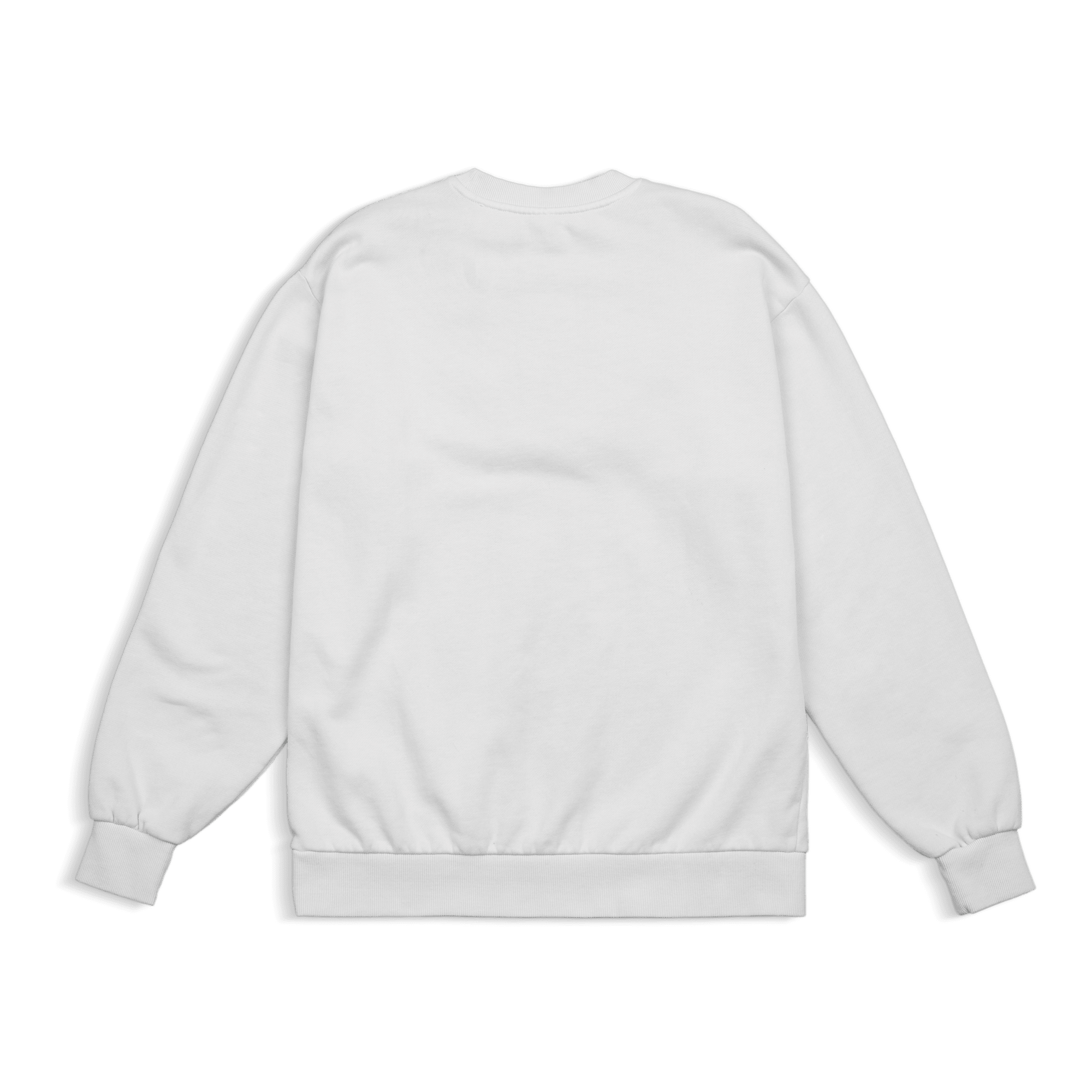 asset image
